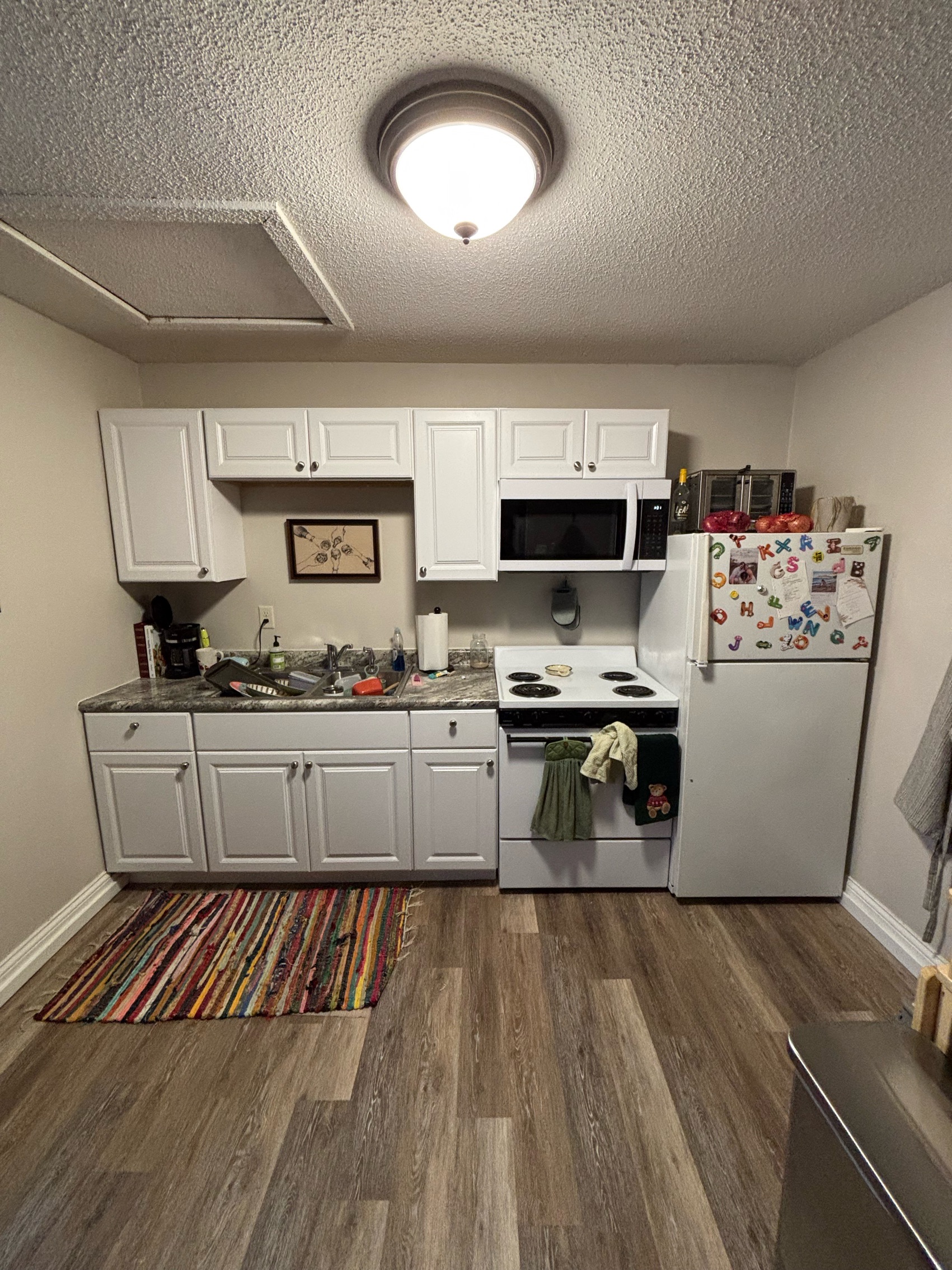 315 North 3rd Avenue East - 304